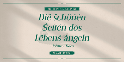 Alkalis Rough Font Poster 5