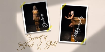 Dilan Script Font Poster 3