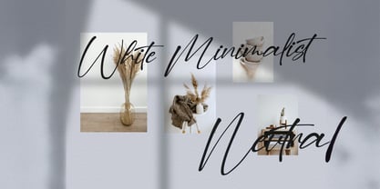 Dilan Script Font Poster 6