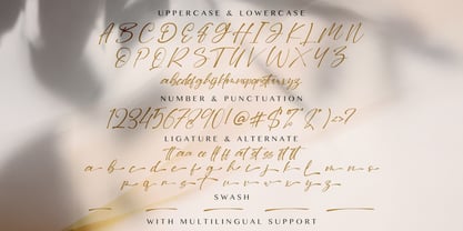 Dilan Script Font Poster 7