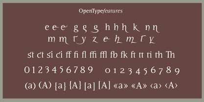 Risgard Font Poster 10
