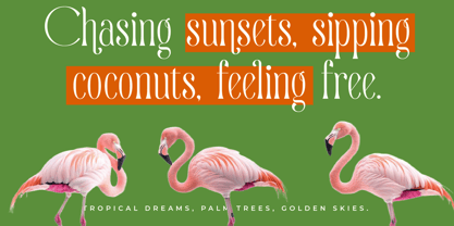 Quiselle Font Poster 2