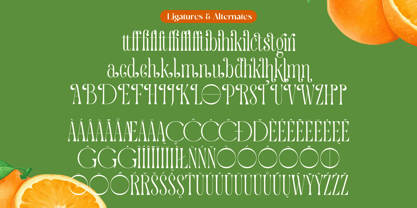 Quiselle Font Poster 15