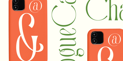 Quiselle Font Poster 7