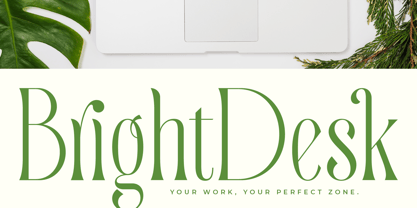 Quiselle Font Poster 13