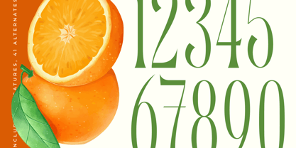 Quiselle Font Poster 12