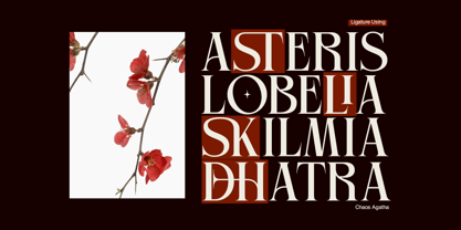 Chaos Agatha Font Poster 4