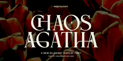 Chaos Agatha Font Poster 1