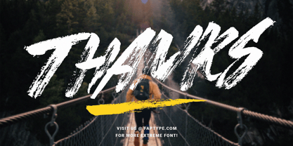 Prime Brush Font Poster 11