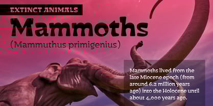 Basati Rounded Font Poster 8