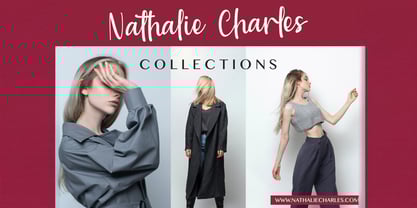 Baweni Font Poster 2