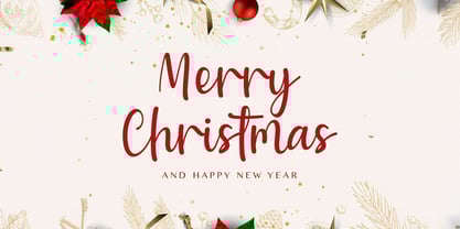 Baweni Font Poster 5