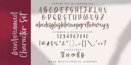 Baweni Font Poster 8