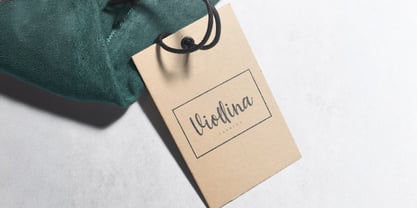 Baweni Font Poster 6