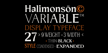 Halimonson Font Poster 14