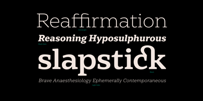 Nexa Serif Font Poster 5