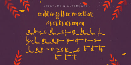 Fariste Qlark Font Poster 7