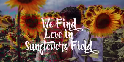 Fariste Qlark Font Poster 4