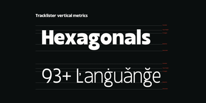 Tracklister Font Poster 10