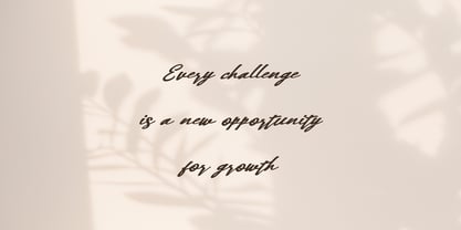 Silhism Font Poster 6