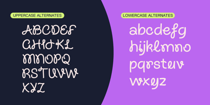 Terasans Font Poster 8