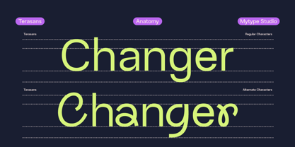 Terasans Font Poster 3