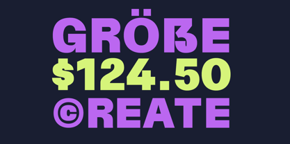 Terasans Font Poster 7