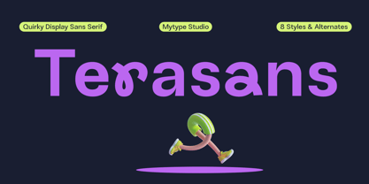 Terasans Font Poster 1