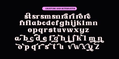 Robikal Font Poster 13