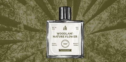 Somare Font Poster 4