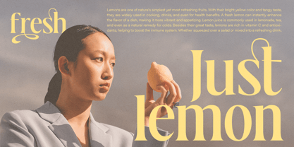 Lavoka Font Poster 4