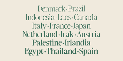 Ladinta Font Poster 12