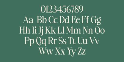 Ladinta Font Poster 8