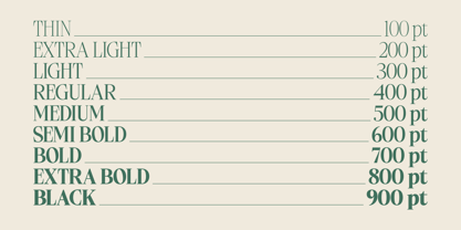 Ladinta Font Poster 3