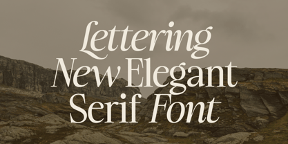 Ladinta Font Poster 2