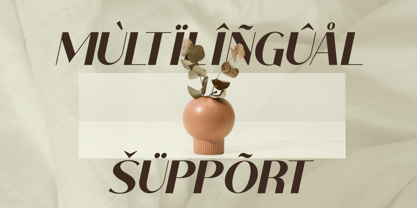 Kasogi Font Poster 11