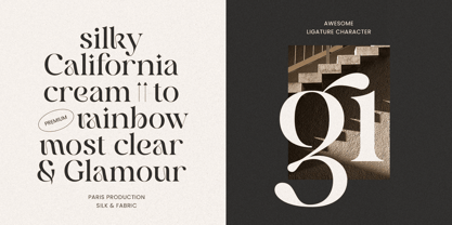 Angelina SS Font Poster 4