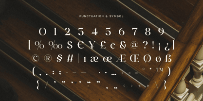 Angelina SS Font Poster 12