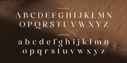 Angelina SS Font Poster 11