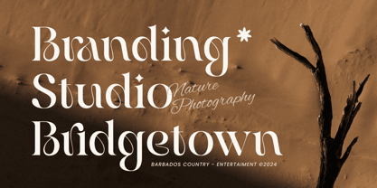 Angelina SS Font Poster 6