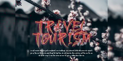 Geishta Font Poster 14