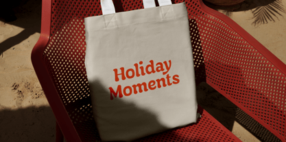 Dallia Font Poster 8