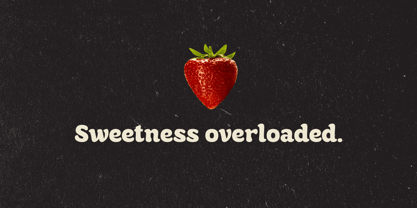 Dallia Font Poster 7