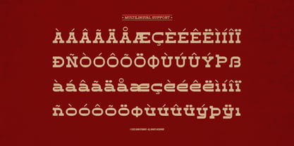 Rusty Duty Font Poster 11