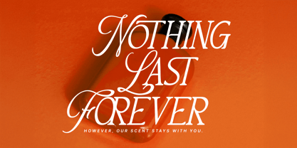 MN Mantova Font Poster 5