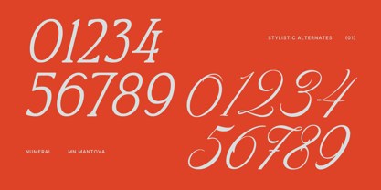MN Mantova Font Poster 8