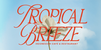 MN Mantova Font Poster 6