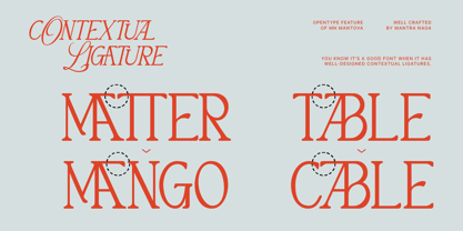 MN Mantova Font Poster 10