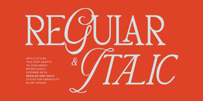 MN Mantova Font Poster 11