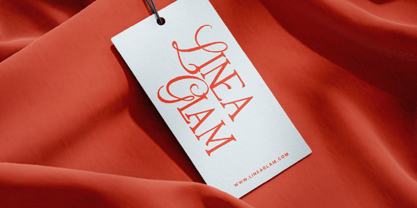 MN Mantova Font Poster 15